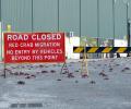 Millions Of Red Crabs Shut Down Roads
