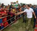 Congress Rout: Rahul's 'Vote Chori' Has No Impact