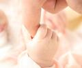 Teacher couple abandons baby in forest fearing job loss