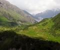 Delhi woman hides overnight in U'khand forest to escape rape bid