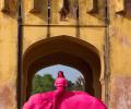 Russian artist's photoshoot with 'pink elephant' draws ire