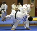 Did Putin play a role in getting Russian judo team approval for Rio Games?