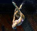 Stunning pics from the FINA World Swim Championships