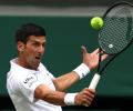 Djokovic faces Berrettini hurdle in his leap towards history
