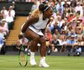 Serena Williams' journey to the top of the women's game