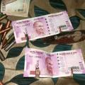 New Delhi, May 18...