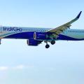 IndiGo Launches...