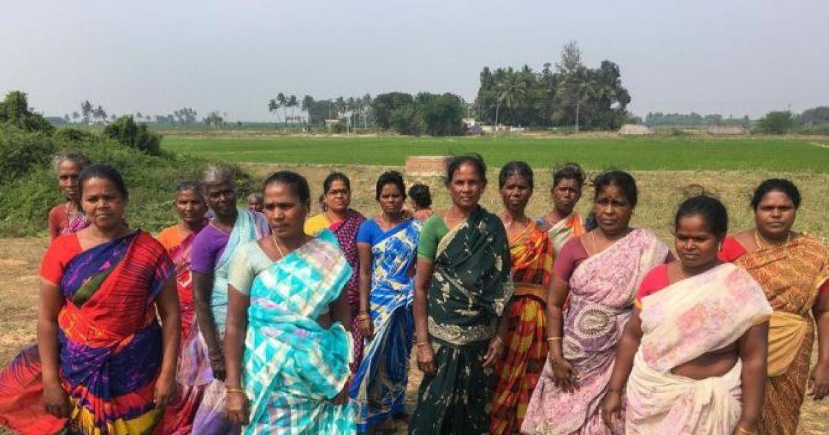 Abtak.com - Other - News Image