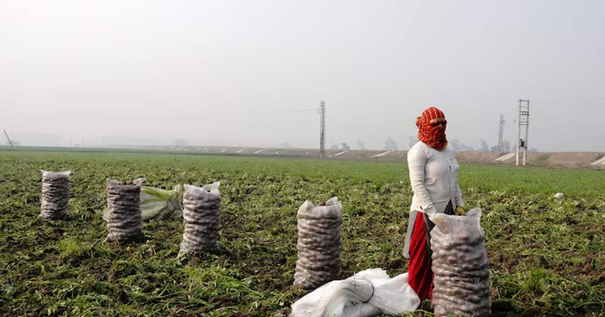 GST 2.0 bolstered momentum, economy on stable footing