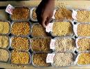 Centre raises support price for pulses by Rs 250/quintal