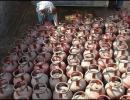 Rs 2,000 cr given as LPG subsidy till Dec