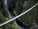 IMAGES: Stunning pedestrian bridges across the world