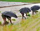 'Below-normal rains may not lead to a spike in inflation'