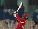 Gayle blazes as Windies beat NZ in Florida Twenty20