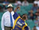 Many umpires suspect Murali's action: Hair