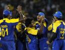 Unpaid SL cricketers playing for love of the game