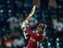 Gayle takes West Indies to World T20 final