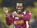 Chris Gayle is world's best T20 cricketer: Shane Watson