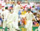 Plenty of life in us old dogs, says Australia's Harris