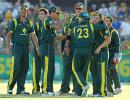 'Uncultured' Aus players have animal mentality: Gower