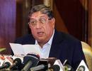 Srinivasan says 'going to stand' for re-election as BCCI chief