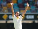 Home highs for Hazlewood, Haddin