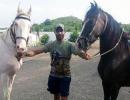 When horse riding and an old friendship helped Jadeja in tough times