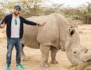 Rohit joins Hollywood stars in Kenya's anti-poaching campaign