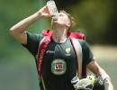 Beer and cricket go hand in hand?