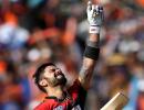 Run-machine Kohli leads MVP rankings in IPL 9