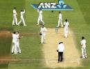 1st Test, PHOTOS: Australia 'outplay' New Zealand to secure innings win