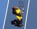 Serena, Nishikori shoot down match-fixing claims