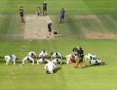 Pakistan cricketers barred from celebrating with push ups