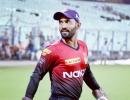 IPL 2019: KKR's Katich reveals how Karthik will play a vital role