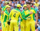 Steve Waugh: Australia will learn from defeat by India