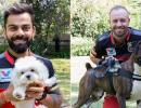 PIX: IPL stars celebrate International Dog Day