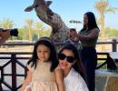 SEE: Ziva Dhoni meets a giraffe!