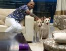 PIX: Dhawan welcomes two new 'family members'