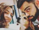 Kohli, Anushka mourn loss of pet dog Bruno