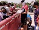 This cricketer distributes food, water to migrants