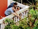 PIX: Ganguly fixes tree damaged by cyclone Amphan