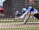 Cricket post-COVID: Gloves for umpires, isolation camp