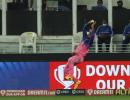 IPL: Is it a bird, is it a plane...