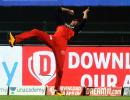 Did this dropped catch cost RCB the Eliminator?