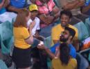 Marriage proposal at SCG melts hearts