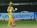 Star Performer: Rutu's 50 comes handy for CSK