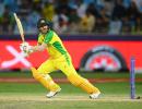 David Warner, Hayley Matthews bag ICC awards