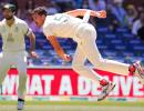 Starc achieves special achievement in Day-Night Tests