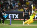 Warner caps the Player of Tournament award of T20 WC