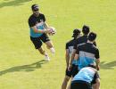 The Kiwis Get Ready for Test 1